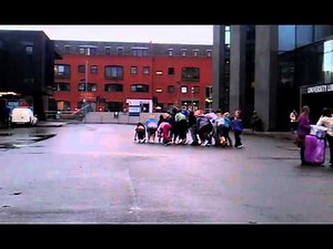 Dance Improvisation - Flocking