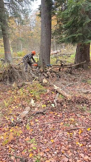 💛 Simple Effects Hack: Use What’s Around You 🏠 #Skull #DIY | Mike Postlewait