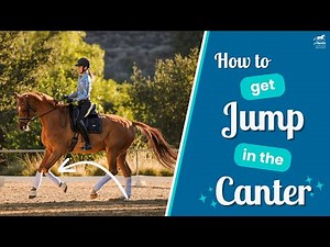 How to Get Your Horse Active in the Canter