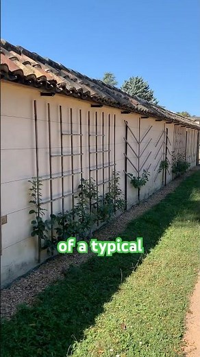 Why Walled Gardens Were the Best? French Chateau Gardens