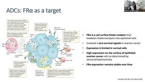 Novel ADCs in Ovarian Cancer: A New Treatment Modality