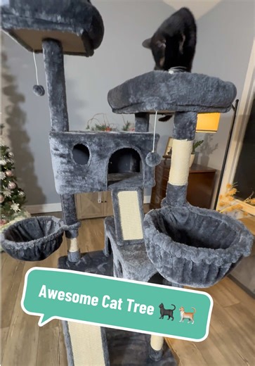 Sturdy Cat Tree for Multi-Cat Households and Seniors