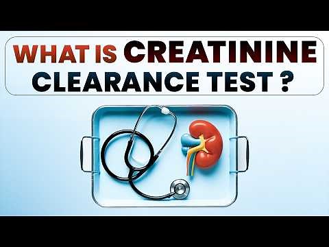 What Is CREATININE Clearance Test Explained Simply?