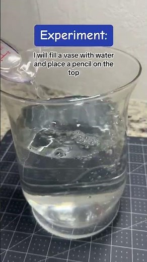 The Scientific Method for Preschoolers | STEM Activity