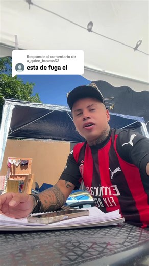 Legalidad del Audi: Respuesta a las Dudas