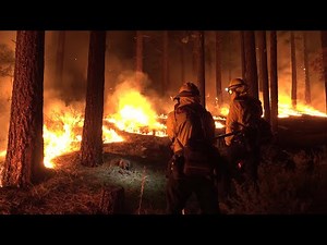 Tamarack Fire: Raw video of overnight firefight near Markleeville