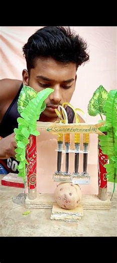 New आलू 🥔 project #science #magic #experiment #trending#scienceproject