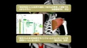 筋肉と骨のメカニズムが3DCG映像で見れる