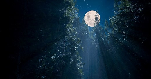 11 Horror Books Inspired By True Stories That Prove Truth Is Stranger Than Fiction