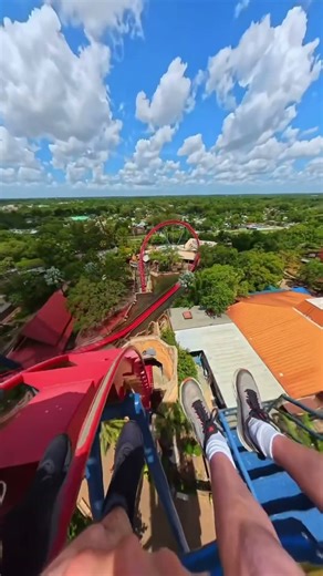 SheiKra at Busch Gardens Tampa #rollercoaster #relaxingreality