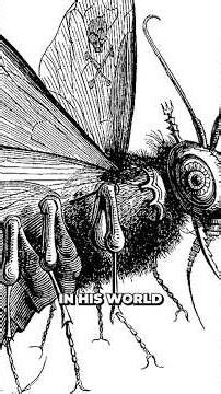 Joey's Worst Trip (and What was Learned) #tripreport #parasite #demonic #occult #demonology #dmt