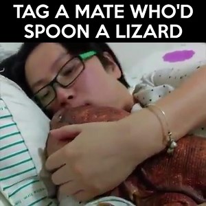 TAG A MATE WHO'D SPOON A LIZARD Credit: MacGyver the Lizard Credit: https://www.facebook.com/MacGyverLizard/ | LOLKidz