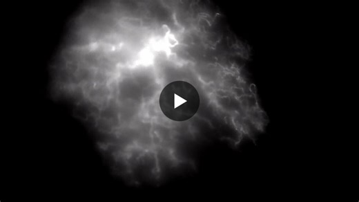 #icg #lva | Shinevia