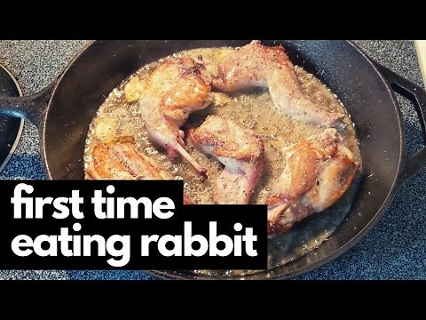 What Does Rabbit Taste Like?
