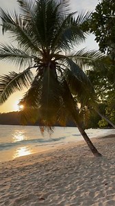 #WeAreNosyBe Summer is calling you to Nosy Be. 🌊☀️Nosy Be welcomes visitors with crystal-clear waters, unspoiled beaches and rich marine biodiversity.Home to sea turtles and vibrant underwater life, the island offers unique experiences blending nature, relaxation and discovery.A true gem of the Indian Ocean, Nosy Be invites you to explore Madagascar’s natural beauty at its finest.Plan your escape to Nosy Be today : https://destination-nosybe.com/. 📸: @elisacolusso #MyNosyBe #DiscoverNosyBe2025