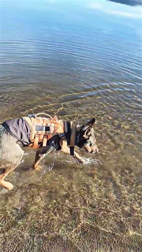 Calm cleare water #@justwhatido #colorado #mountains