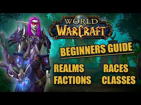World of Warcraft Beginners Guide: Realms, Factions, Races and Classes!
