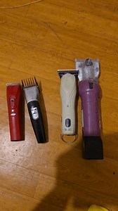 Please ffs open yer lugs!!!! Trimmers for trimming, clippers for clipping 🫠 #horseclipping #equinegroom #equestrian #horse #clippers | Jillian Scott The Clipper Queen