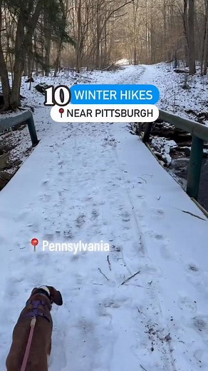Did you know there are many great winter hiking spots near Pittsburgh? (These are all about an hour or less from da ‘burgh 😉) ***Save this list for your winter hiking inspiration.*** If the cold winter months bring you down, don’t worry, I’ve got you covered.😉 ‼️I want to emphasize how important it is for you to wear blaze orange when hiking in the winter. Please check the dates for the different hunting seasons and be careful! You can still enjoy the woods in the winter, but please use cautio