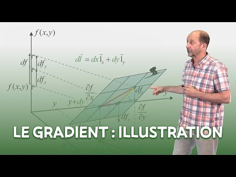 Le gradient : illustration