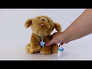 Review of Little Live Pets Snuggles My Dream Puppy