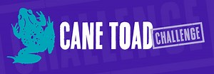 IMB's Cane Toad Challenge research project