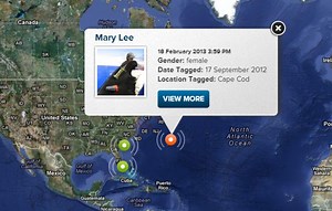 3456lb Great White Shark 90 Miles Off Bermuda - Bernews