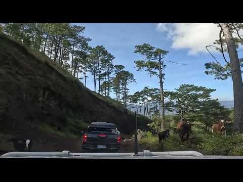 Mt. Ugo Exit Trail to Tinongdan Itogon Benguet