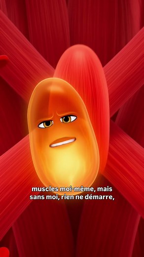 Comprendre les hormones de la musculation pour progresser
