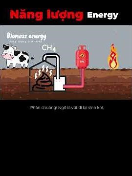 Cập nhật các nguồn năng lượng 2026