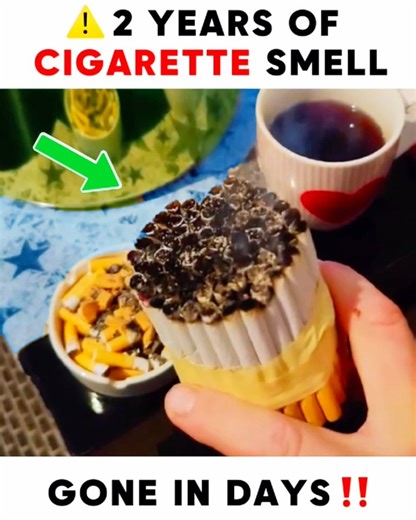 "This solution is a tiny-miracle device that effortlessly eliminates cigarette smoke odors, cooking smells, bathroom funk, and even garbage in your home. Just plug it in and let it do its magic." Once you turn it on, it goes to work 24/7. No need to replace any batteries, just make sure the blue light is on. Because our solution uses advanced UV-C molecular-neutralization technology, it eliminates cigarette smoke odors and other unpleasant smells at their molecular source, thoroughly cleaning yo