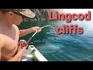 Lingcod Bowman Bay Cliffs