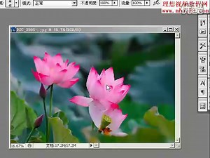 Photoshop CS3中文版无敌课堂 视频教程 共80讲 1软件界面概览