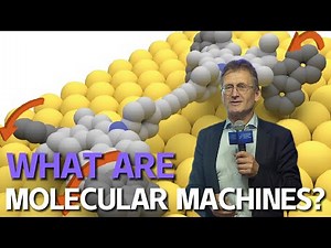 What are molecular machines?