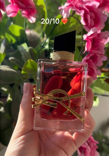 Rating the best perfumes for women 💐 - Jimmy Choo I Want Choo @Jimmy Choo - Carolina Herrera La Bomba @Carolina Herrera - Viktor&Rolf Flowerbomb @Viktor&Rolf Fragrances - Yves Saint Laurent Berry Crush @SAINT LAURENT - Trussardi Ruby red @Trussardi #perfumereview #perfumecollection #fragrance #perfume #perfumetok