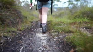 Hiking in the outback in the bush in australia. Girl walking in the forest in the great outdoors.