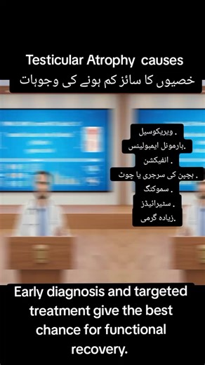 Understanding Testicular Atrophy Causes and Effects