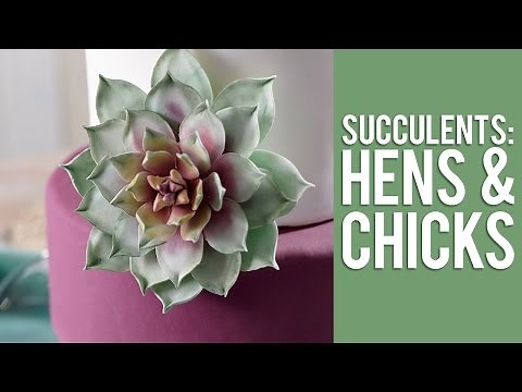 How to Make Gum Paste Echeveria Succulents