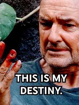 How did The Island heal John Locke in #LOST? #shorts #quickanswers #episodeguide