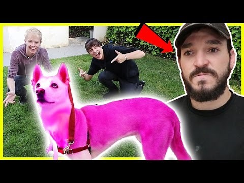 PINK HAIR DYE ON ROOMMATES DOG PRANK | Prank Wars