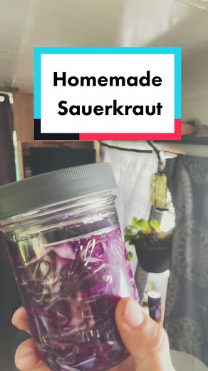 frontierfarmer on TikTok