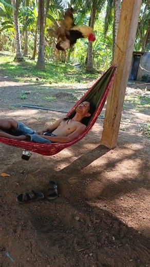 Low budget seiling fun #comedy #entertainmentreels #funnyvideo #jokes #fun #comedyshorts #funnyvideo