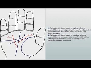 Palmistry “Palm Reading” Favourable lines (Personal tendencies)