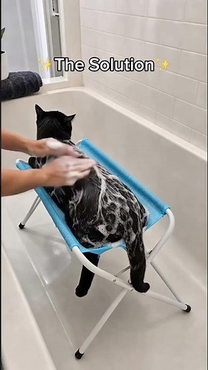 Bath Time Was a Nightmare… Until We Found This 🐾 | Foldable Pet Bath Hammock