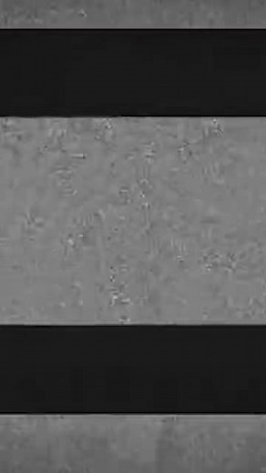 48K views · 516 reactions | Dogs vs robbers #dogsoftiktok #dogs #dogbreedsoftiktok #dogbreeds | Jonny | Facebook