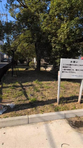 Stacy Da Silva on Reels | Facebook