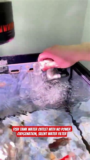 Fish tank water outlet with no power oxygenation, silent water filter #Fishtankfilter #aquariumtank