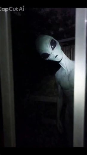 testing my work🎬🎬🎬