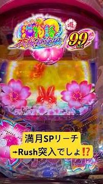 #満月SPリーチ #海物語 ＃沖海5 #夜桜超旋風 #桜ビスカスモード #パチンコ