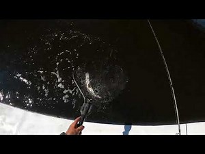 Port St. Lucie Snook | DOA Terroreyz |Fishyourassoff.com